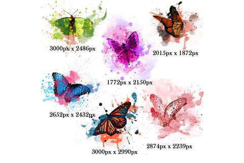 Butterflies Watercolor Sublimation Clipart PNG SVG nikola 