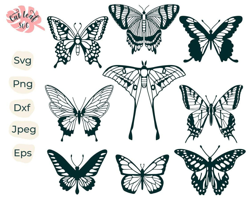 Butterfly bundle svg, butterfly svg, monarch butterfly, butterfly ...