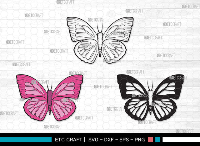 Butterfly Clipart SVG | Butterfly Stencil Svg | Butterflies Svg | Monarch Butterfly Svg | Butterfly Clipart SVG ETC Craft 