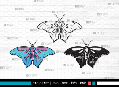 Butterfly Clipart SVG | Butterfly Stencil Svg | Butterflies Svg | Monarch Butterfly Svg | Butterfly Clipart SVG ETC Craft 