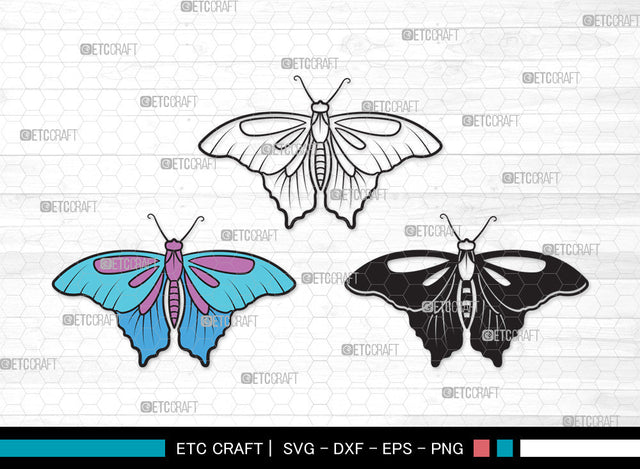 Butterfly Clipart SVG | Butterfly Stencil Svg | Butterflies Svg | Monarch Butterfly Svg | Butterfly Clipart SVG ETC Craft 