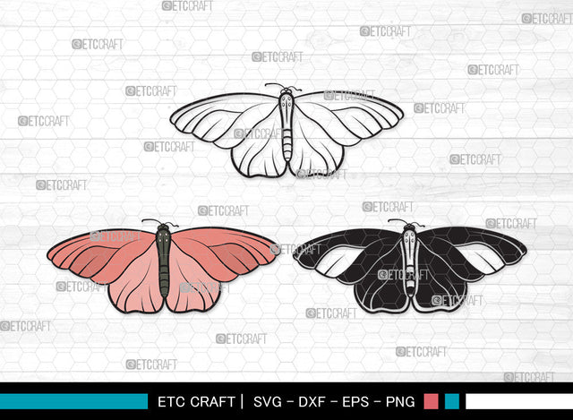 Butterfly Clipart SVG | Butterfly Stencil Svg | Butterflies Svg | Monarch Butterfly Svg | Butterfly Clipart SVG ETC Craft 