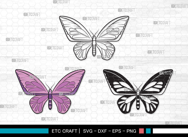 Butterfly Clipart SVG | Butterfly Stencil Svg | Butterflies Svg | Monarch Butterfly Svg | Butterfly Clipart SVG ETC Craft 