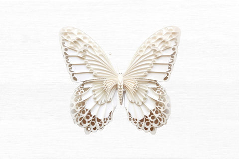Butterfly Layered Paper Art Clipart Sublimation Regulrcrative 