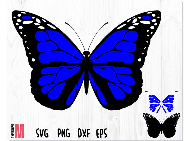 Butterfly Layered SVG Blue SVG CreativeStudioTM 