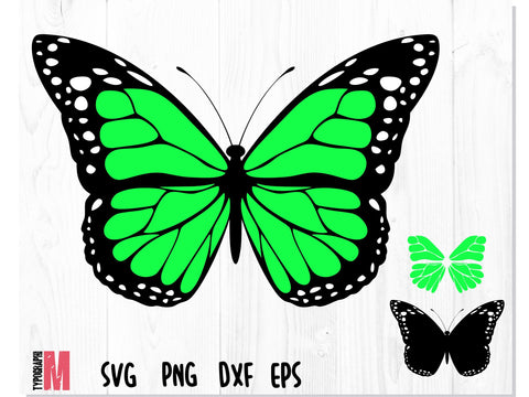 Butterfly Layered SVG Green SVG CreativeStudioTM 