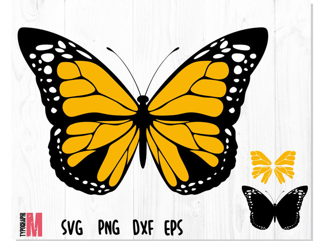Butterfly Layered SVG Orange SVG CreativeStudioTM 