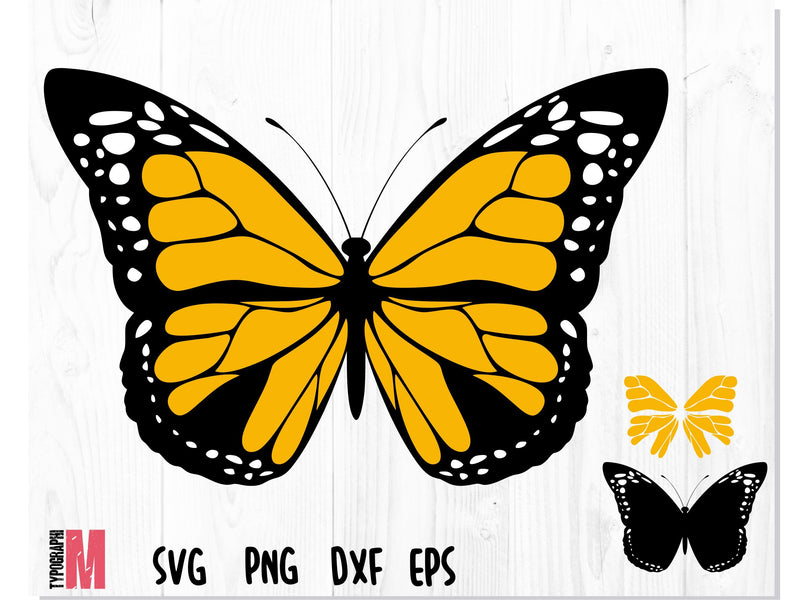 Butterfly Layered SVG Orange SVG CreativeStudioTM 