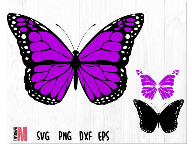 Butterfly Layered SVG Violet SVG CreativeStudioTM 