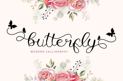 Butterfly - Modern Calligraphy Font Illushvara Design 
