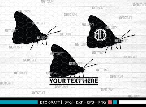 Butterfly Monogram, Butterfly Silhouette, Butterfly SVG, Bloodworm Svg, Dragonfly Svg, Butterfly Wings Svg, SB00233 SVG ETC Craft 