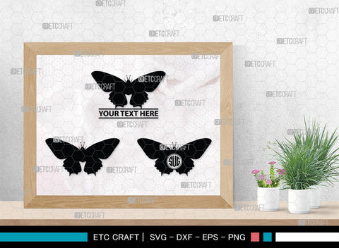 Butterfly Monogram, Butterfly Silhouette, Butterfly SVG, Bloodworm Svg, Dragonfly Svg, Butterfly Wings Svg, SB00233 SVG ETC Craft 