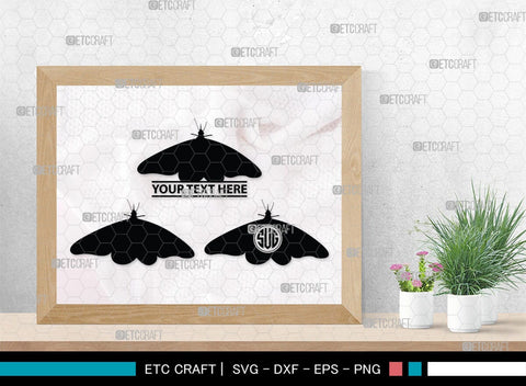 Butterfly Monogram, Butterfly Silhouette, Butterfly SVG, Bloodworm Svg, Dragonfly Svg, Butterfly Wings Svg, SB00233 SVG ETC Craft 