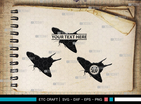 Butterfly Monogram, Butterfly Silhouette, Butterfly SVG, Bloodworm Svg, Dragonfly Svg, Butterfly Wings Svg, SB00233 SVG ETC Craft 