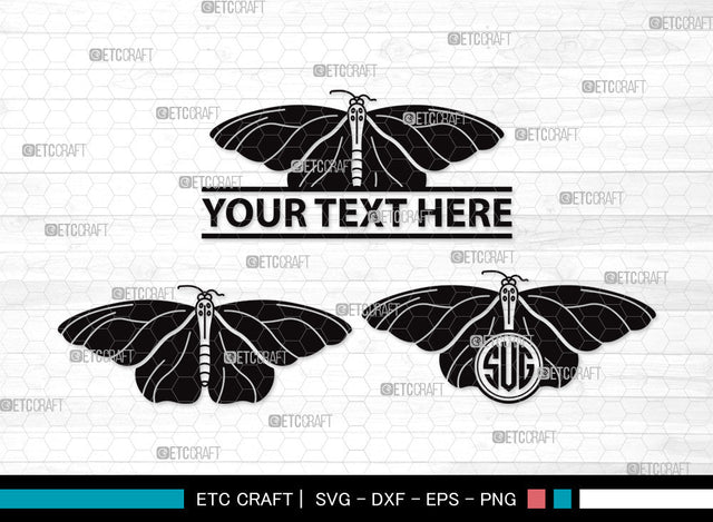 Butterfly Monogram SVG | Butterfly Stencil Svg | Butterflies Svg | Monarch Butterfly Svg | Butterfly Monogram SVG ETC Craft 