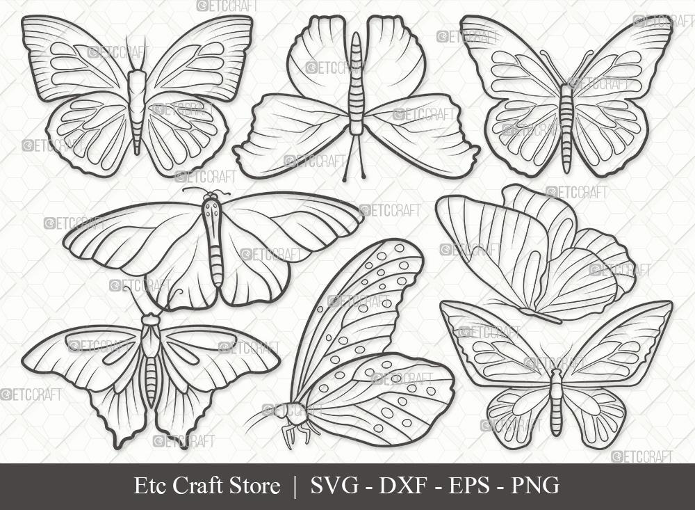 Butterfly Silhouette  Butterfly stencil, Butterfly outline, Butterfly  printable