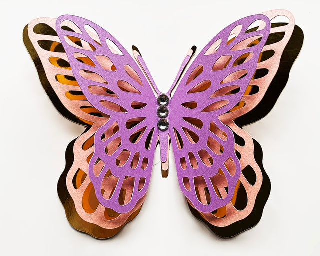 Butterfly SVG and DXF SVG CanadaCraftsStudio 