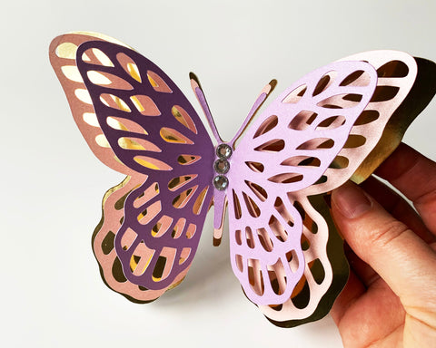 Butterfly SVG and DXF SVG CanadaCraftsStudio 