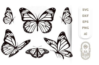 Butterfly Svg Bundle - 5 Monarch Butterflies Svg Cut Files SVG Big Design &Co 