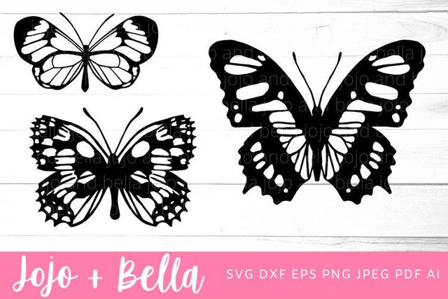 Butterfly svg bundle, Butterfly Clipart, Butterfly svg, Butterfly png, Butterfly sublimation, realistic butterfly svg, butterfly iron on SVG Jojo&Bella 