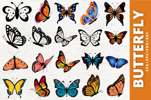 Butterfly SVG Bundle SVG Regulrcrative 