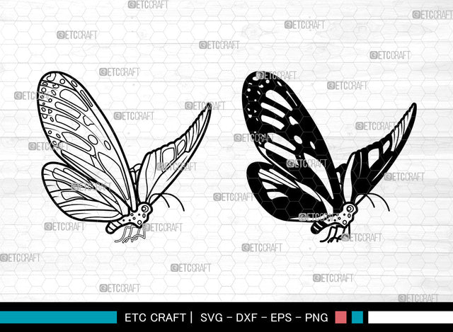 Butterfly SVG, Butterfly Stencil svg, Monarch Butterfly Svg, Butterfly Svg, Butterflies Svg, Butterfly Bundle Svg, Butterfly Svg SVG ETC Craft 