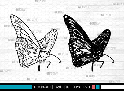 Butterfly SVG, Butterfly Stencil svg, Monarch Butterfly Svg, Butterfly Svg, Butterflies Svg, Butterfly Bundle Svg, Butterfly Svg SVG ETC Craft 
