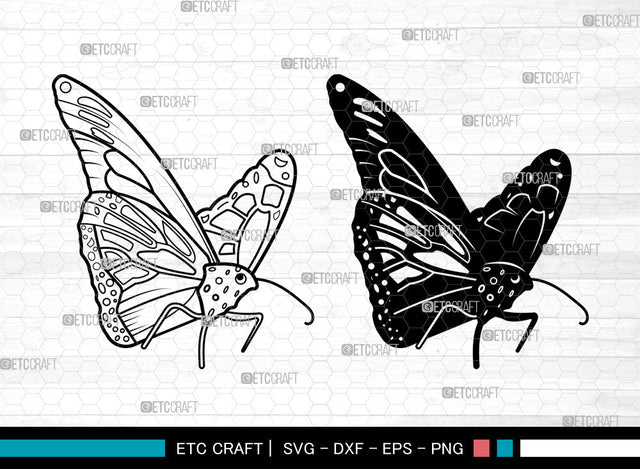 Butterfly SVG, Butterfly Stencil svg, Monarch Butterfly Svg, Butterfly Svg, Butterflies Svg, Butterfly Bundle Svg, Butterfly Svg SVG ETC Craft 