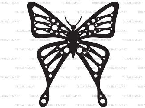 Butterfly SVG TribaliumArtSF 