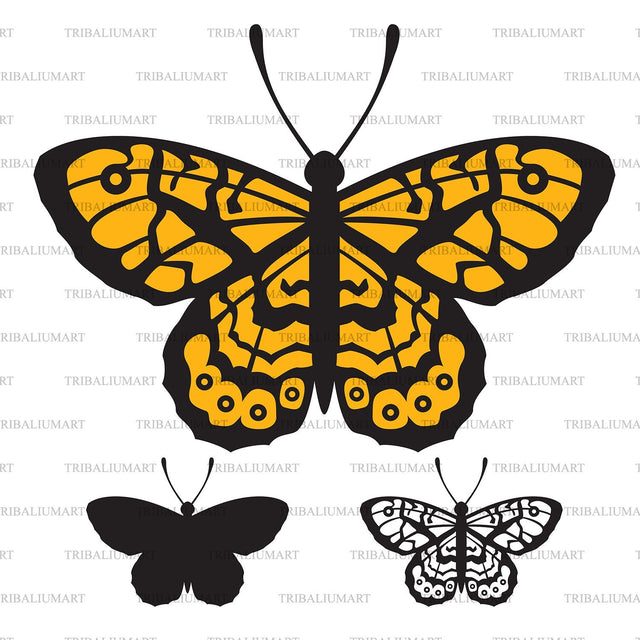 Butterfly SVG TribaliumArtSF 
