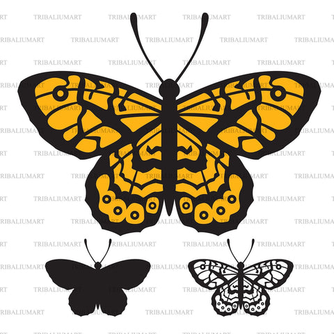 Butterfly SVG TribaliumArtSF 