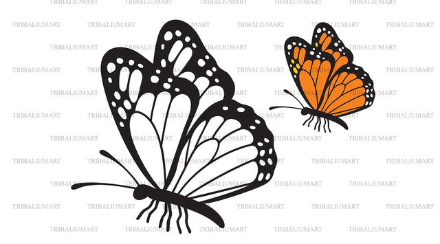 Butterfly SVG TribaliumArtSF 
