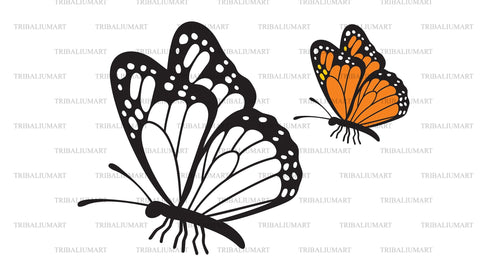 Butterfly SVG TribaliumArtSF 
