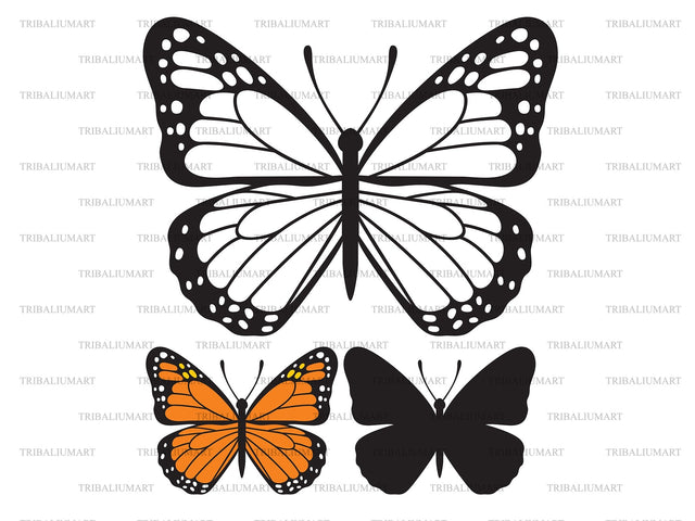 Butterfly SVG TribaliumArtSF 