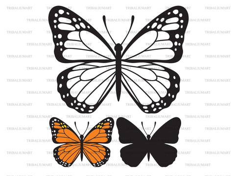 Butterfly SVG TribaliumArtSF 