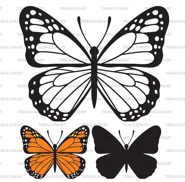 Butterfly SVG TribaliumArtSF 