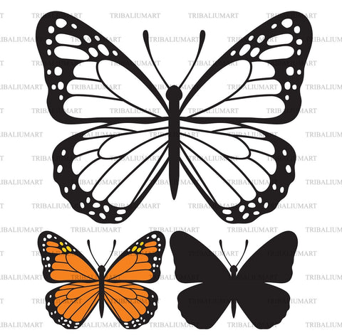 Butterfly SVG TribaliumArtSF 