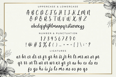 Butterfly Winter - Handwritten Font Font StringLabs 