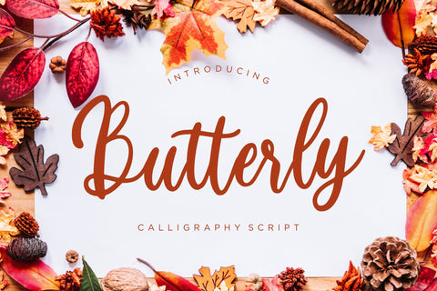Butterly Calligraphy Script Font Creatype Studio 