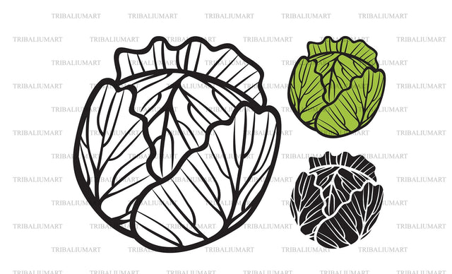 Cabbage SVG TribaliumArtSF 