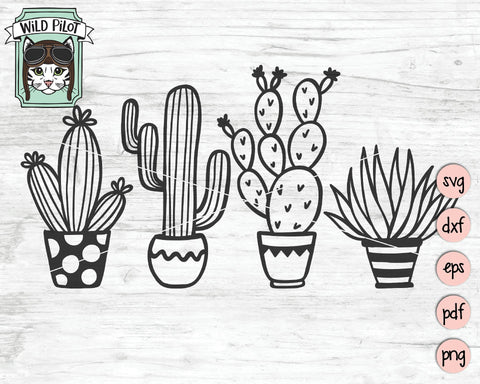 Cactus And Succulents SVG Cut File SVG Wild Pilot 