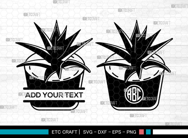 Cactus Monogram SVG, Succulent Cacti svg, Succulent Svg, Desert Cactus, Cactus Svg, Circle Monogram Svg SVG ETC Craft 