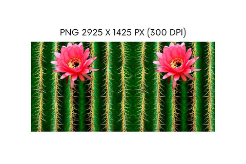 Cactus Mug Sublimation Sublimation SvgOcean 