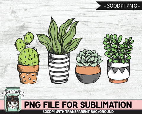 Cactus SUBLIMATION design PNG, Succulent PNG sublimation file, Plants sublimation, Cactus, Succulent sublimation designs, Plant Lover png Sublimation Wild Pilot 