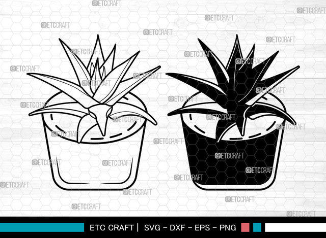 Cactus SVG, Succulent Cacti svg, Succulent Svg, Desert Cactus, Cactus Svg SVG ETC Craft 