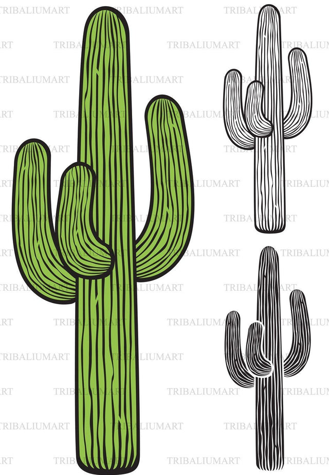 Cactus SVG TribaliumArtSF 