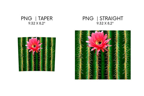 Cactus Tumbler Sublimation Sublimation SvgOcean 