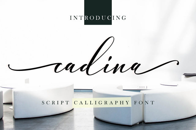 cadina Script Font Sulthan studio 