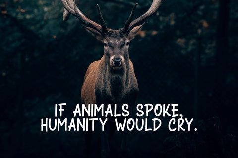 CAKE SPRINKLES Font Kasih Ibu 