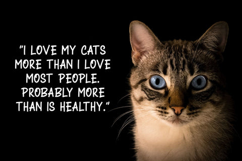 CAKE SPRINKLES Font Kasih Ibu 